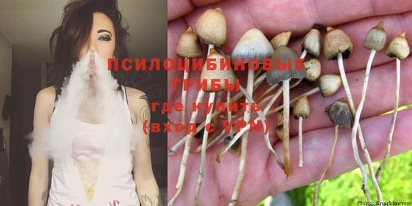 дурь Абинск