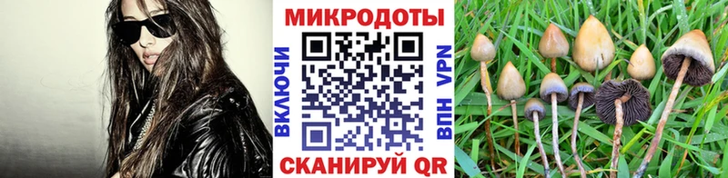 блэк спрут как зайти  Ужур  Псилоцибиновые грибы Psilocybe  закладки 