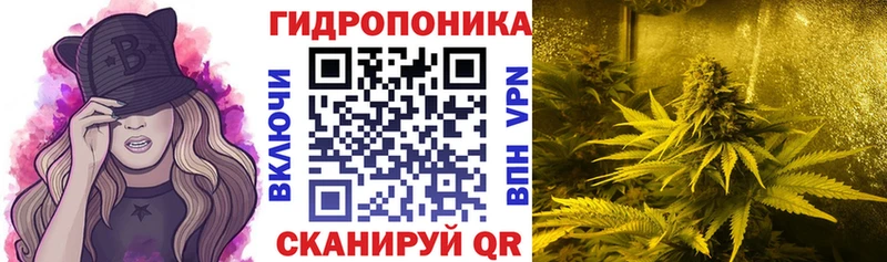 Марихуана план Ужур